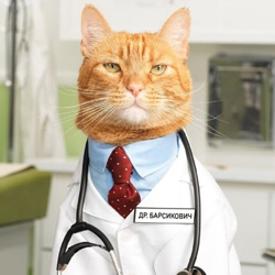 Ученые назвали пять животных, способных лечить людей. Четверо их них ждут вас в «КФХ Ольгино», а с пятым вы не захотите встречаться сами.