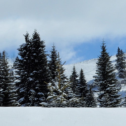 О пользе зимнего отдыха.