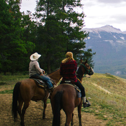 О пользе верховой езды и здоровье.