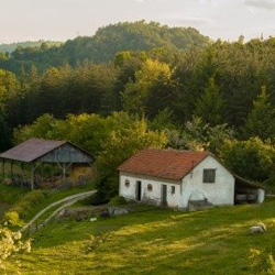 Отдых в деревне – возвращение к истокам.