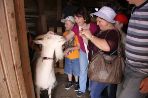 Экскурсии в КФХ «Ольгино»