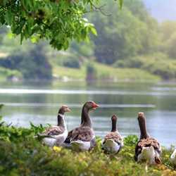 Лучший отдых – отдых на природе.