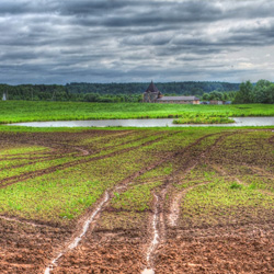 Эпоха возрождения